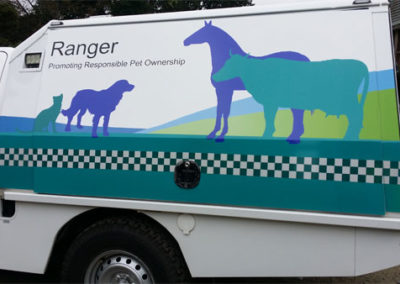Custom ute canopy and tray for Ranger